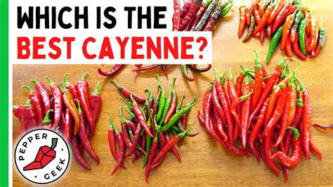 yellow pepper that are similar to cayenne pepper